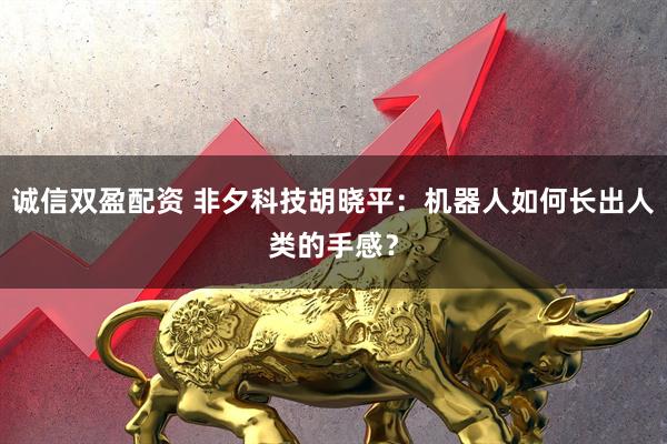 诚信双盈配资 非夕科技胡晓平：机器人如何长出人类的手感？