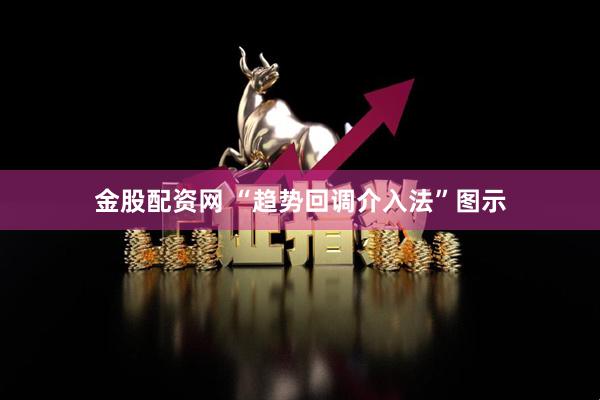 金股配资网 “趋势回调介入法”图示